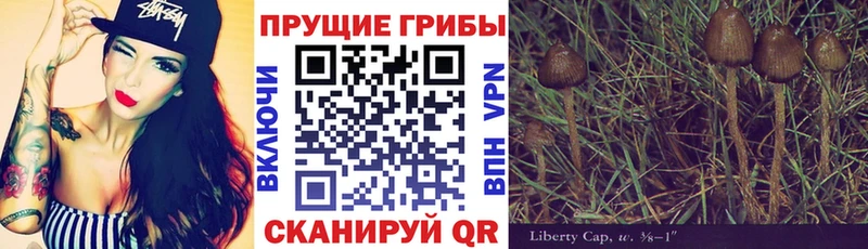 Галлюциногенные грибы ЛСД  Лихославль 